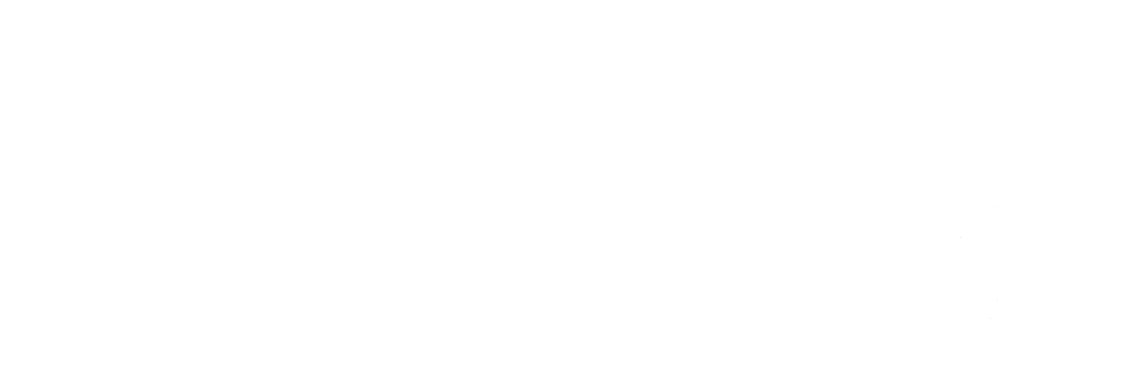 logo de notre association couleur blanc