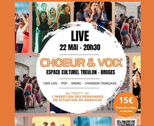 affiche pour le concert caritatif en faveur de Génération Inclusions et organisé par Sud Ouest Solidarité à l'Espace Treulon de Bruges